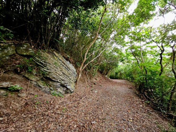 加奈美山-小百岳#95-台東縣大武鄉2777009