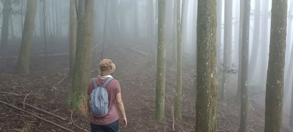 20240720_油羅山+太閣南山2555918