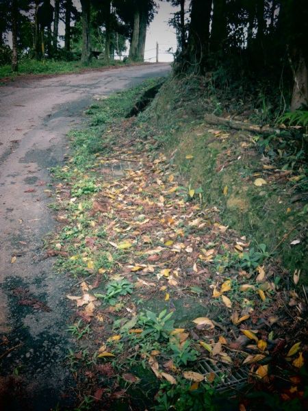 貓囒山步道122542