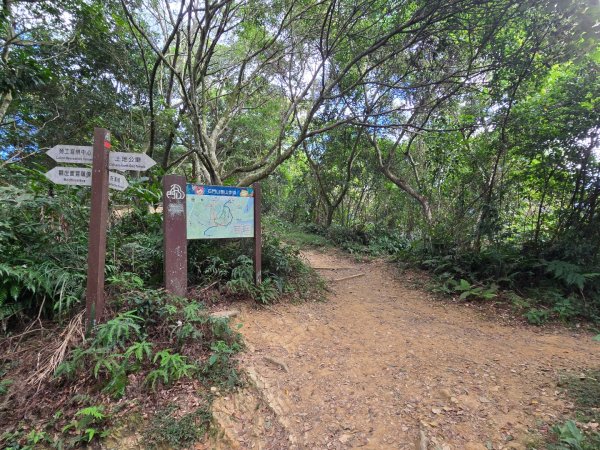 桃園石門山（小百岳）2910066