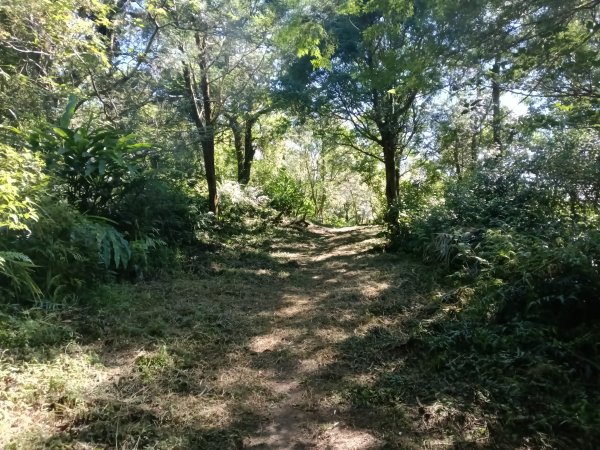 雙溪區豹子廚越嶺保甲路2876991