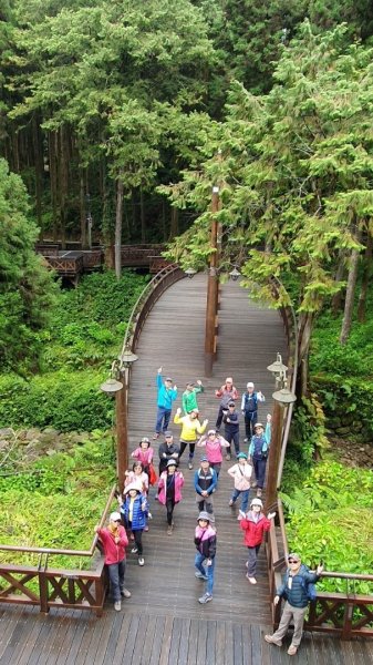 阿里山神木園區1497378