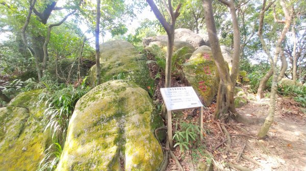 中和圓通步道 ！國旗嶺 ！圓通寺 ！1225625