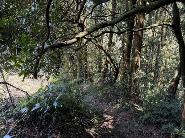 [淡蘭古道] 2026_0315 南路第三段_獵狸尖步道3017263