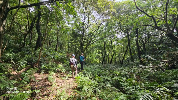 艋舺崙古道上新路尾山連走大平林山古厝O走3102734