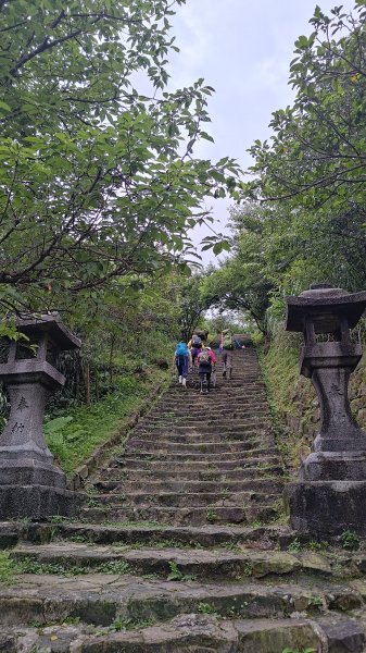 楊廷理古道2814571