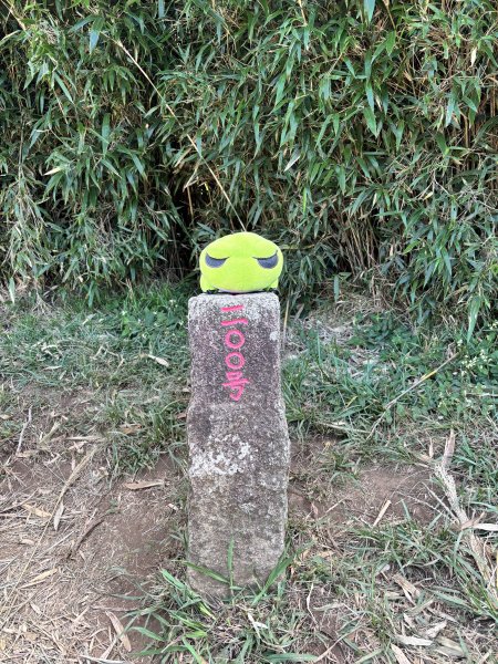 面天山、向天山、向天池2921057