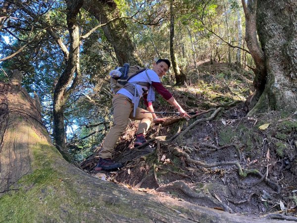 長壽山-醜崠山-鳶嘴山【既優雅又狂野的另類選擇】2673958