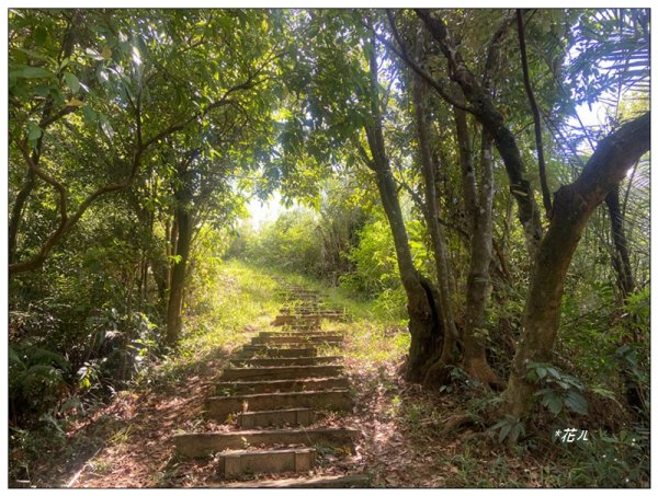 金龍湖、鷹石尖、老鷲尖、內溝山 O型一圈2966591