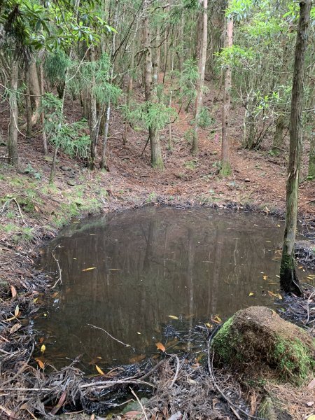 20250517義義兒玉山-東水山2791693