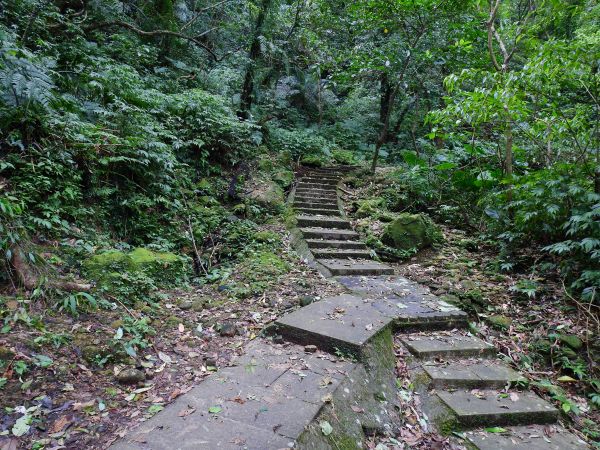 孝子山步道連走東勢格越嶺古道196966