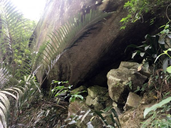 里美避難步道、巨石板步道141448