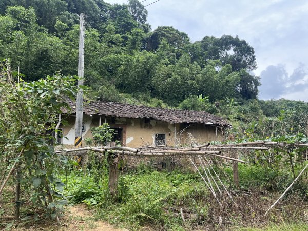 [皮皮獅探險隊-04/10] 2025_0706 三段崎古道2831756