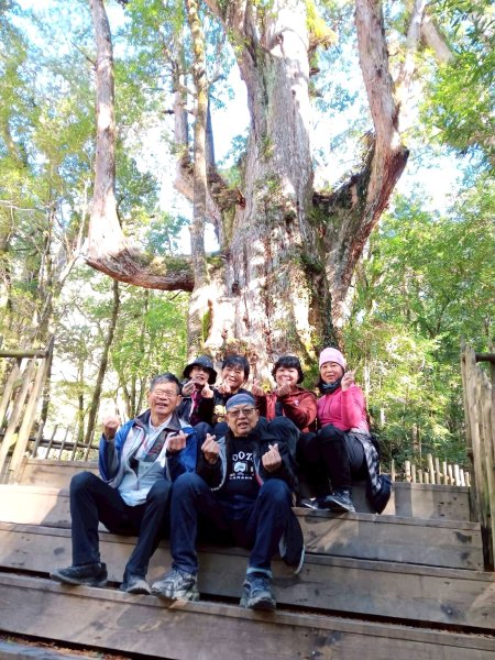 20260104司馬庫斯 &巨木群攀登2978853
