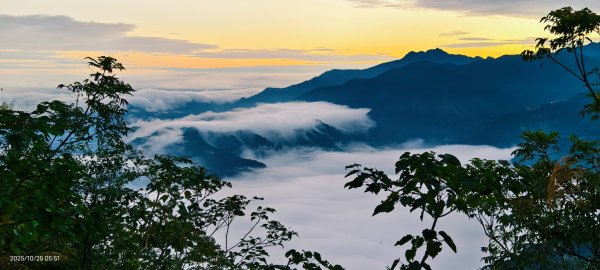 #馬那邦山 #琉璃光 #日出 #雲海 #山羌 #楓葉 10/25 & 11/12924586