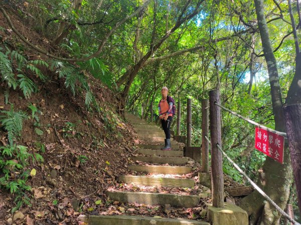 小東河上大龍山2247131