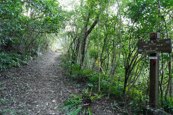 新北 新店 直潭山、二龍山2703890