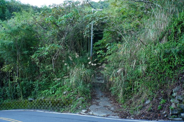 新竹 尖石 東穗山、島田山2939416