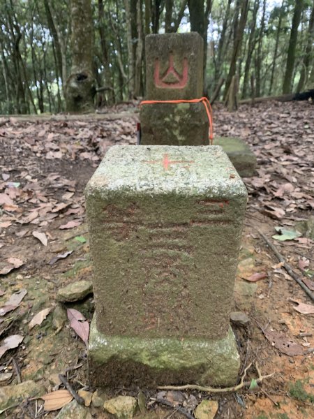 20260509南投小出山3055097