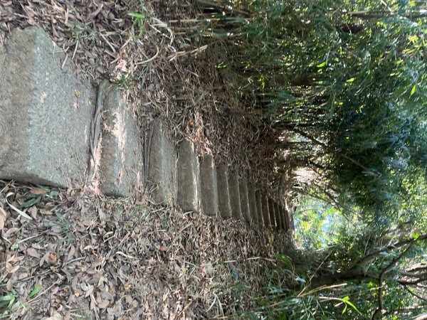 虎頭山健行10122911376