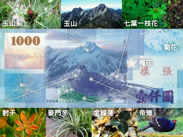 【小知識大發現】仟元鈔票上有哪些動植物，你知道嗎？