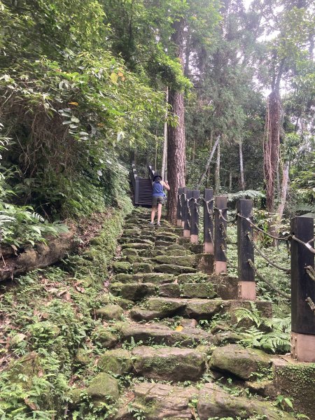 五指山橫向步道2569520