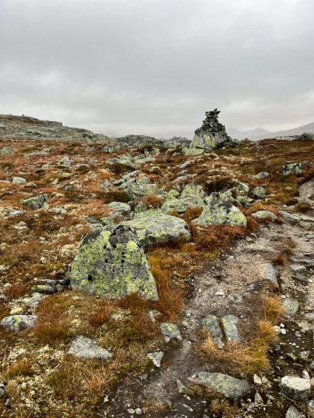 Norway-FINSE-Hardangervidda冰河高原健行-未竟2917791