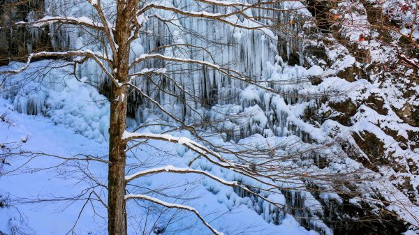 地心年輪之飛驒大鐘乳石洞2982451