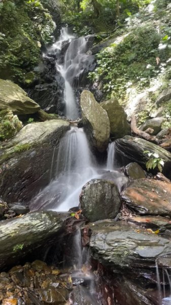 烏來阿玉溪山/西坑林道/探勘派出護管所彈藥庫遺址至獅坑橋2582017