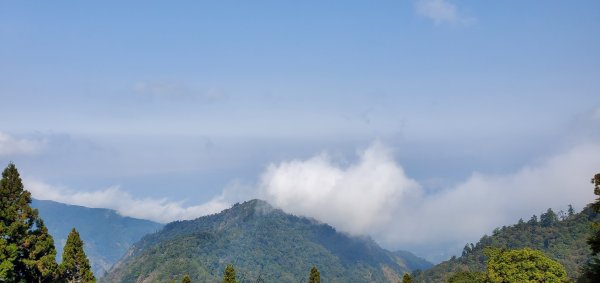 大雪山系_烏石坑山賞一葉蘭2126018