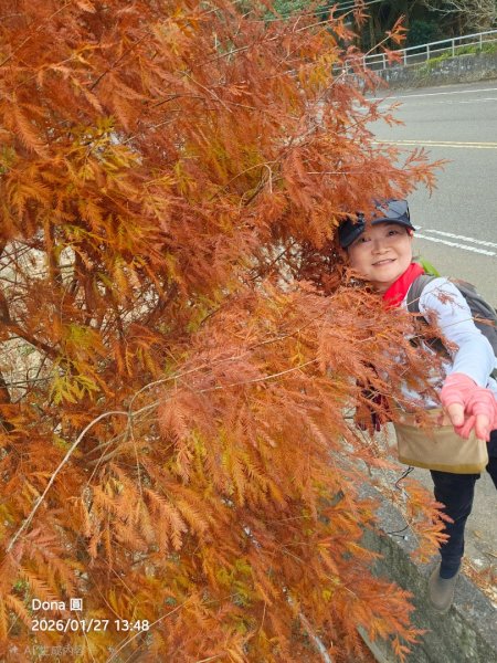 20260127三通嶺山.三義山(大桁茂山).慈濟山.大坪山大O走2989981