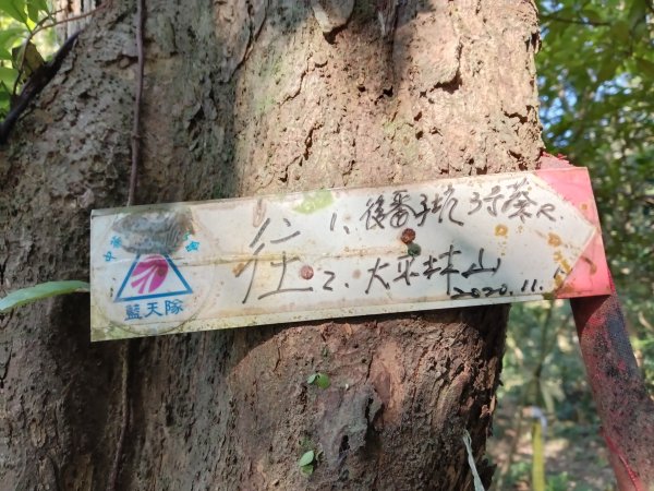 雙溪區大平林山+后番子坑古厝+后番子坑山+武山煤礦事務所+焦炭窯O型2988532