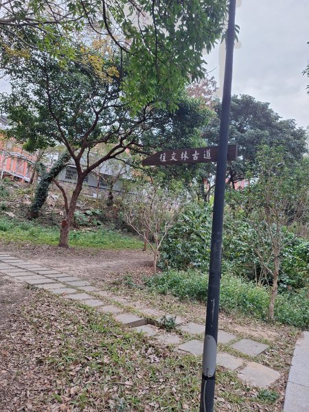 文林古道(鄧雨賢公園起登)202401222696169