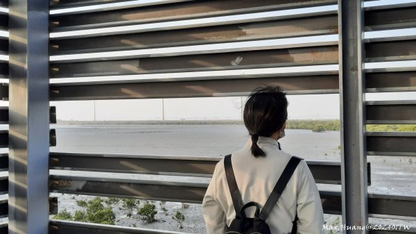 《彰化》海空夕陽｜芳苑海空步道濕地紅樹林202401072397725