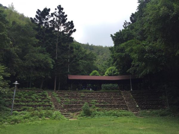 新莊青年公園淨山392583