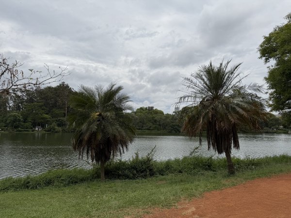 [紐約馬之行-69] 2025_1116 伊比拉布埃拉公園-下2955176