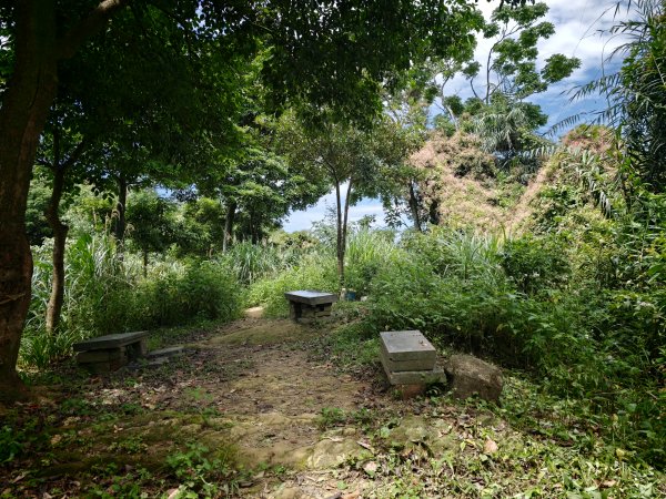 [淡蘭古道] 2026_0523 南路第一段_妙高台步道3069514