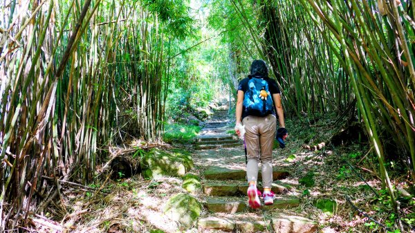 向天蝦不蝦2936801