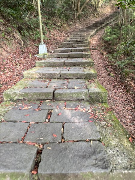 觀音山硬漢嶺 22899083