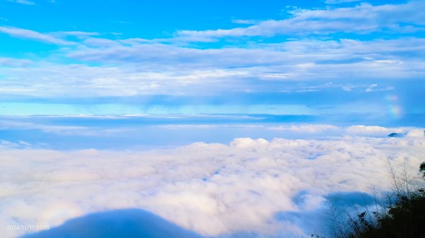阿里山 #隙頂二延平 #頂石棹 #觀音圈 #雲海 #琉璃光 #雲瀑 #霧虹 11/172649775