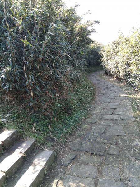 【臺北大縱走第二段】小油坑至二子坪完成1263061