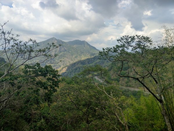 白雲山(小百岳#69)步道1377524