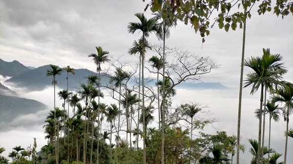 阿拔泉山稜線步道雲海1561754