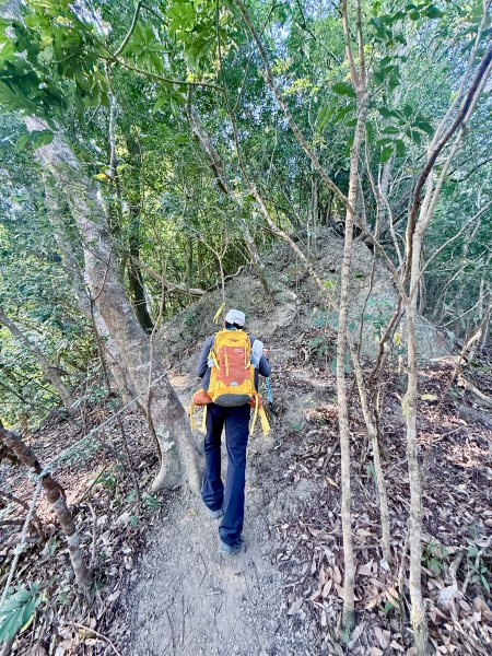 16年後重逢糖子恩山   2026.3.253026312