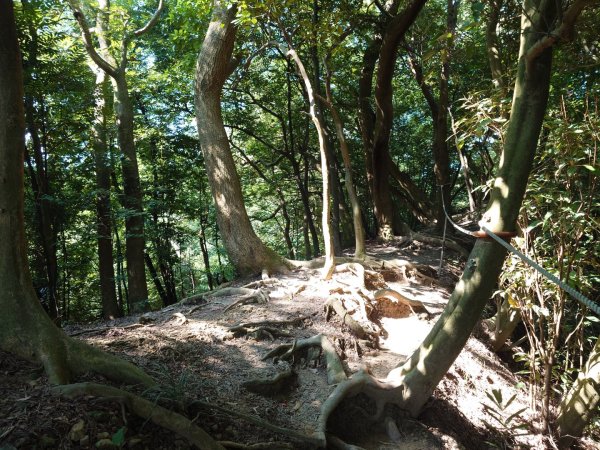 微笑山線之鳶山任務2855524