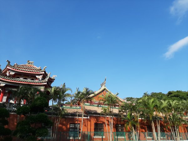 關渡親山步道｜雨過天晴 讓我們看雲去1434444