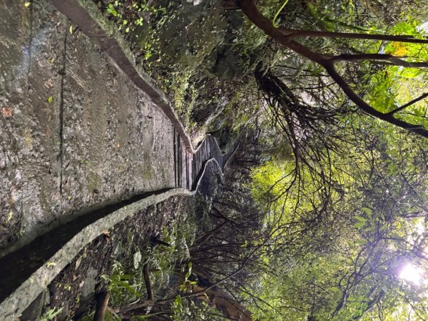 觀音山小木馬探路2703451