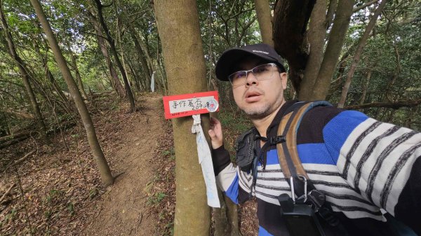 20251218犁頭山-吧哩國山主東峰-石頭坑山西南峰-石頭坑山2967010