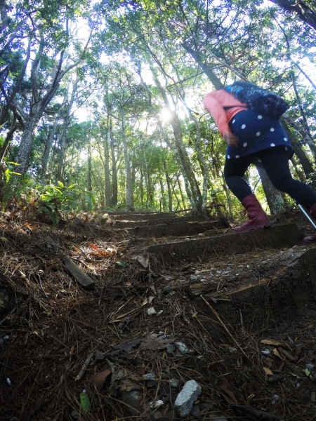 谷關七雄 馬崙山54961