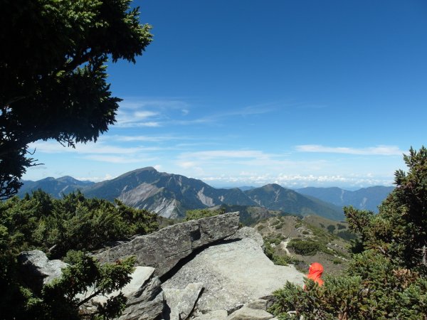 天使眼淚～嘉明湖之向陽山1863550